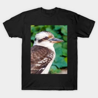 Laughing Kookaburra T-Shirt